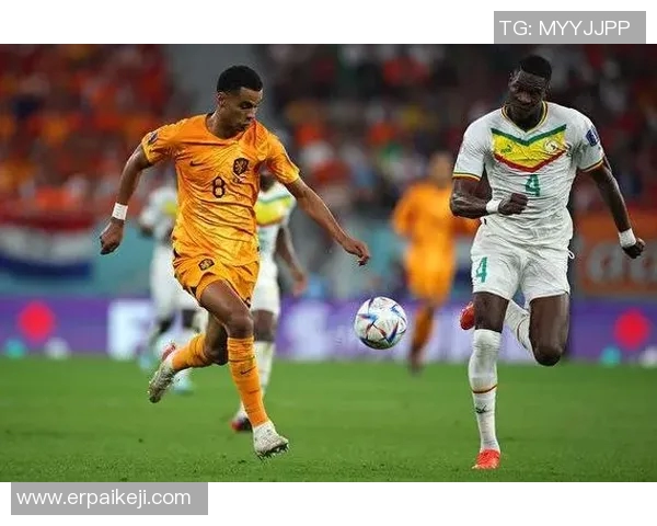 武汉网球队在世界杯积分榜上以75分稳居第一名展现强劲实力